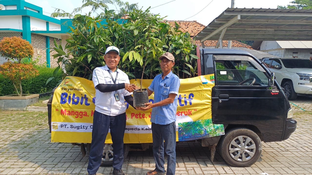 Donasi Bibit Pohon Produktif ( Bibit Buah ) Mangga, Kelengkeng, Jambu, Alpokad